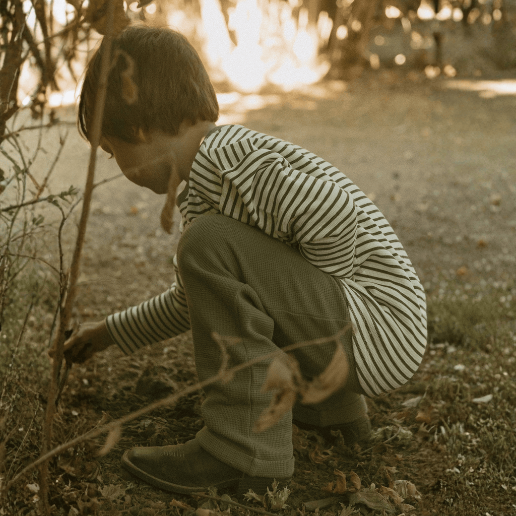 Organic Cotton Tee & Cuffed Pants Set - Olive Stripes
