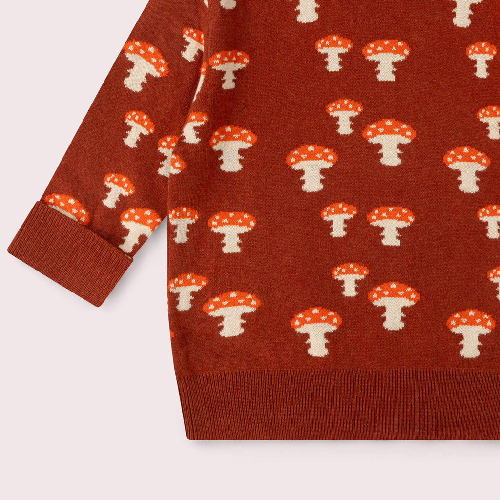 Organic Cotton Knitted Sweater - Rust, Mushrooms